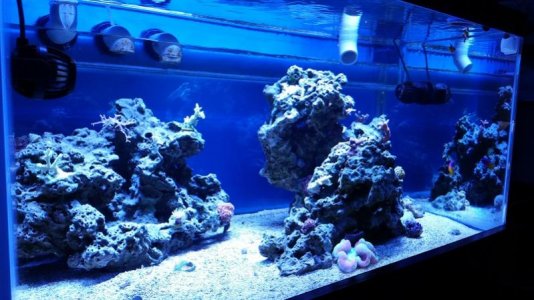 20151108_173506.jpg 20151108_173506.jpg