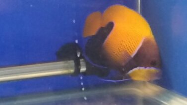 2015-11-15 14.25.56.jpg