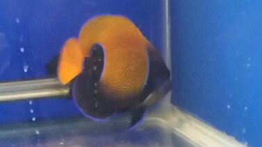 2015-11-15 14.26.21.jpg