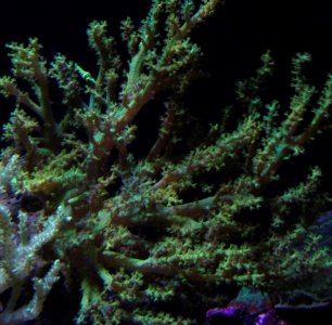 _IGP8193.jpg _IGP8193.jpg