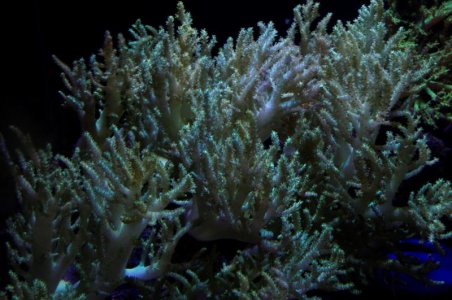 _IGP8192 (2).jpg _IGP8192 (2).jpg