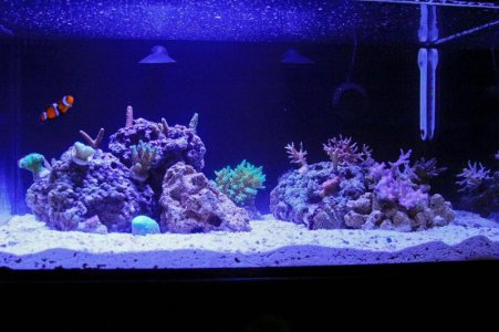 tank setup3.jpg