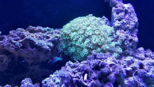 2015-11-16 20.38.04.jpg