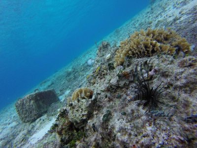 G1446223.jpg G1446223.jpg