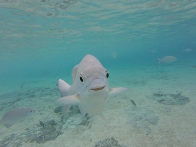 G0012712.jpg G0012712.jpg