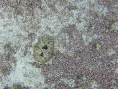 G1145514.jpg G1145514.jpg