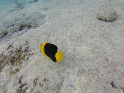 G1115444.jpg G1115444.jpg