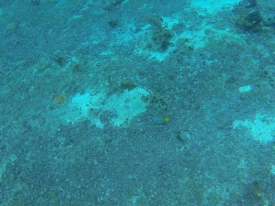 G1315951.jpg G1315951.jpg