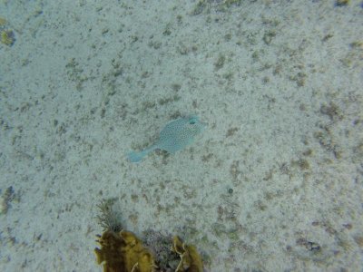 G1015245.jpg G1015245.jpg