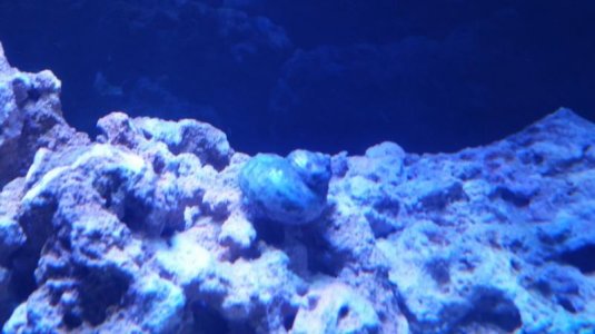 20151212_121955 (1).jpg