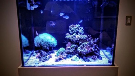 uploadfromtaptalk1449946519261.jpg uploadfromtaptalk1449946519261.jpg