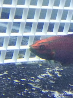 2014-11-04 21.47.30.jpg