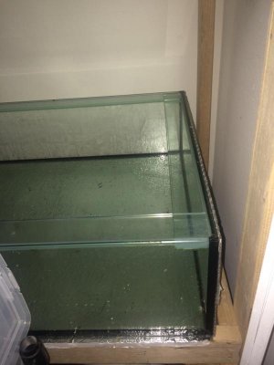 ImageUploadedByTapatalk1447734671.393161.jpg