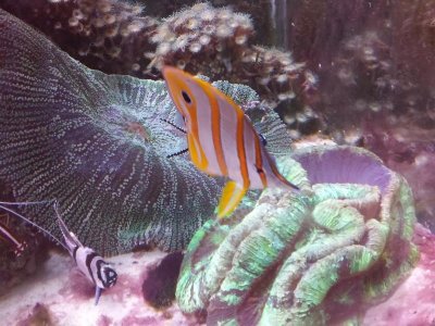 uploadfromtaptalk1449952014564.jpg uploadfromtaptalk1449952014564.jpg