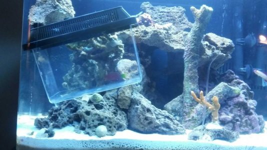 uploadfromtaptalk1449961086669.jpg uploadfromtaptalk1449961086669.jpg