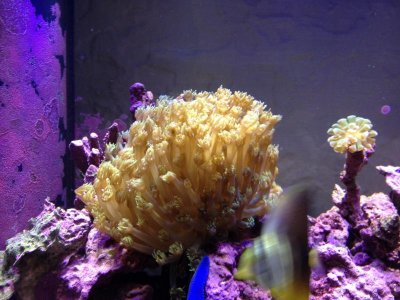 IMG_1639.jpg