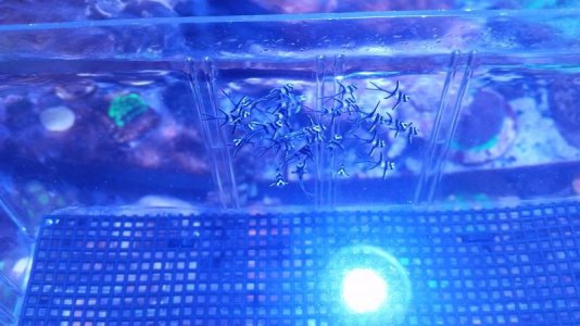 20151213_215911.jpg