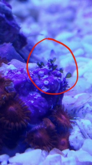 2015-12-14 17.04.39.jpg