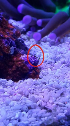 2015-12-14 17.05.17.jpg