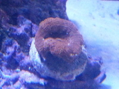 20151118_101931[1].jpg