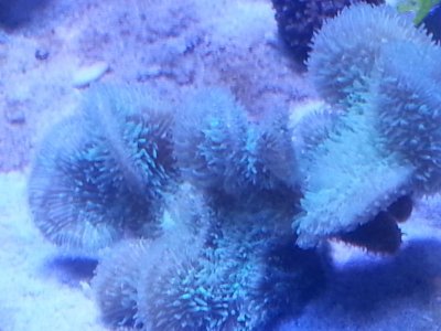 20151118_101927[1].jpg
