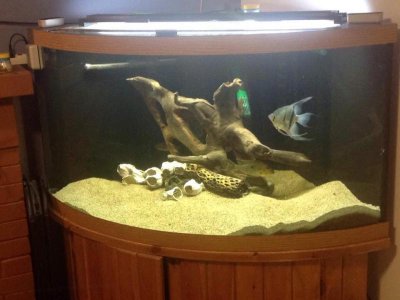 92 gallon 1.jpg