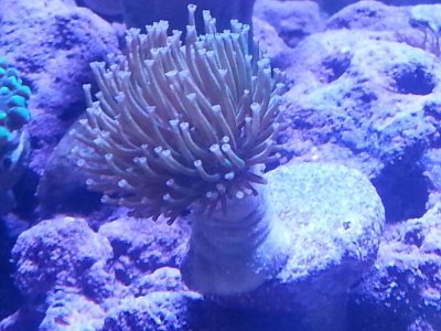 20151118_101919[1].jpg