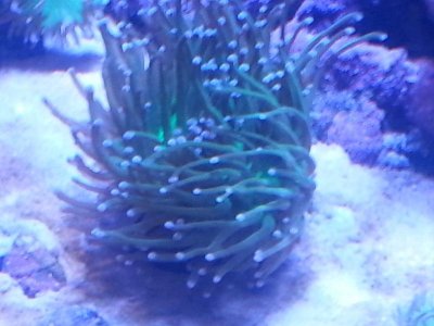 20151118_101908[1].jpg