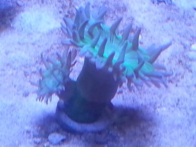 20151118_101901[1].jpg