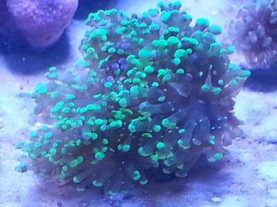 20151118_101857[1].jpg