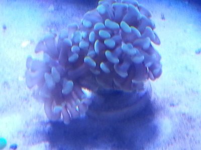 20151118_101851[1].jpg