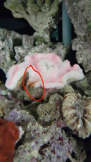 2015-11-19 12.35.08.jpg