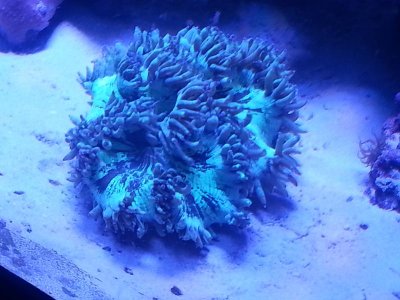 20151215_055206[1].jpg