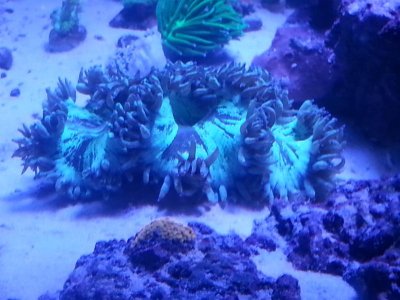 20151215_055122[1].jpg