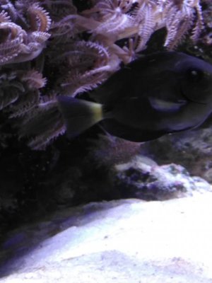 uploadfromtaptalk1450241252379.jpg uploadfromtaptalk1450241252379.jpg