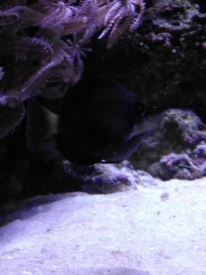 uploadfromtaptalk1450241271251.jpg uploadfromtaptalk1450241271251.jpg