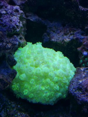 20151120_204915.jpg