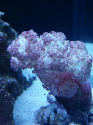 20151120_204908.jpg