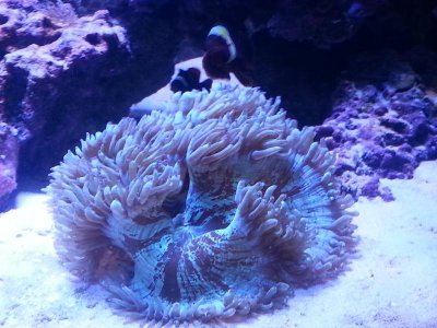 20151216_095114[1].jpg