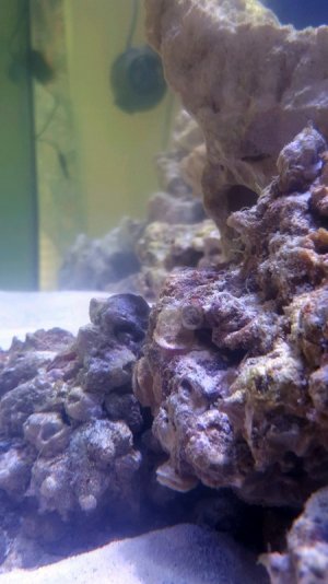 20151216_124313 (1).jpg