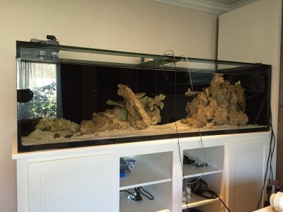 aquascape-front-nov-2015.jpg