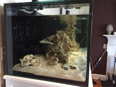 aquascape-side-nov-2015.jpg