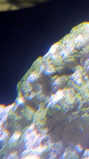 VZM.IMG_20151216_193009 (1).jpg