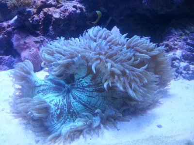 20151217_082541[2].jpg