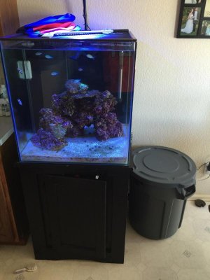 Tank Setup.jpg