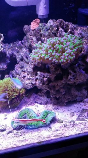 2015-12-17_17.11.37[1].jpg