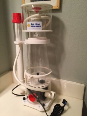skimmer.JPG