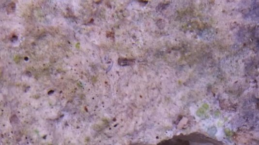 2015-12-17 20.43.05.jpg