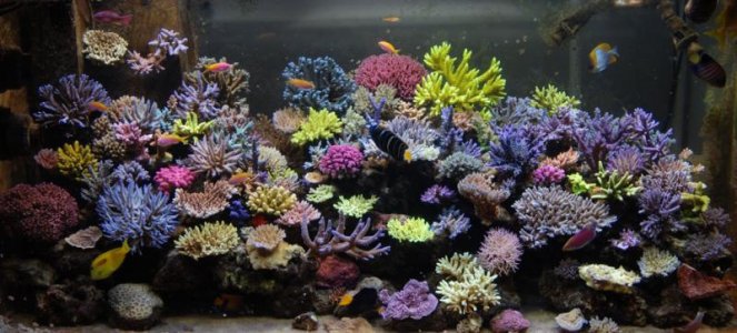 DSC_0010a.jpg