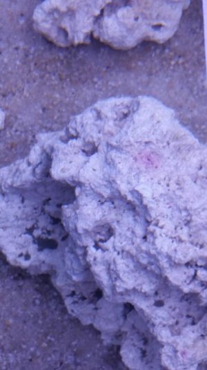 2015-12-17 20.42.35.jpg